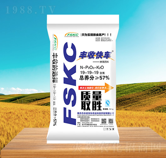 �������19-19-19-�S�տ�܇