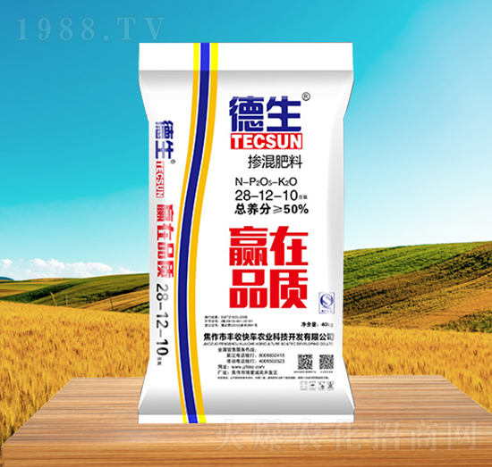 �������28-12-10-����