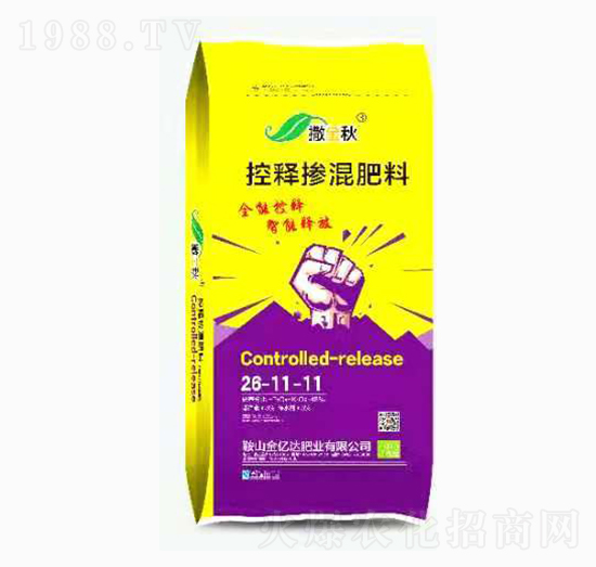 ��ጓ������28-11-11-������-���|�_�ʘI(y��)