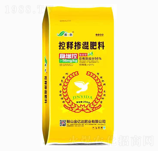 �����Ϳ�ጓ������-������-���|�_(d��)�ʘI(y��)