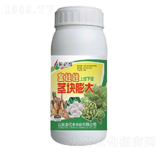 �o�K���-�������Ͽ��´�-���|�S