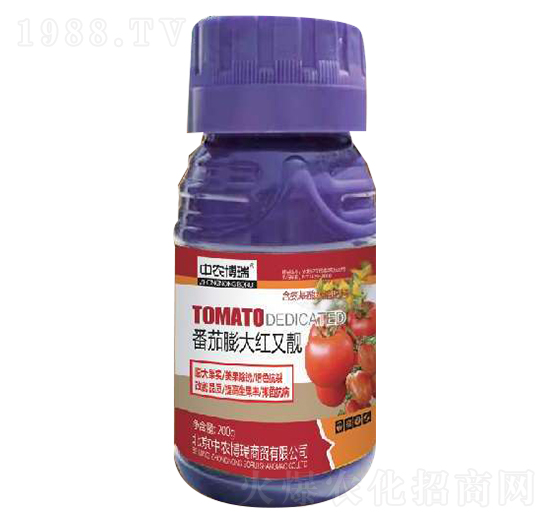 �������t���n-���|�S