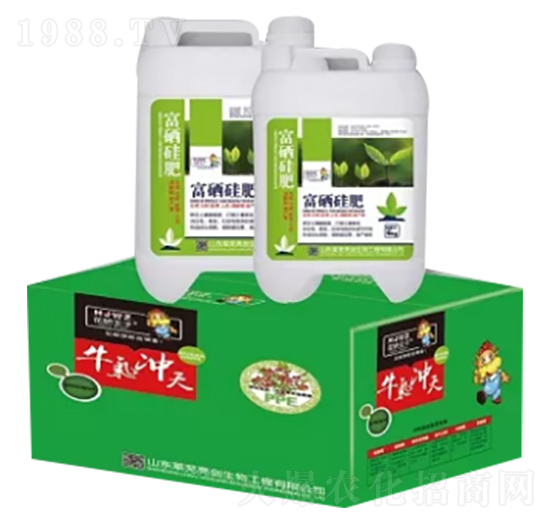 �������-�S���ʘI(y��)