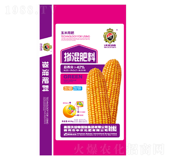 ���׌��Ó����-���r����