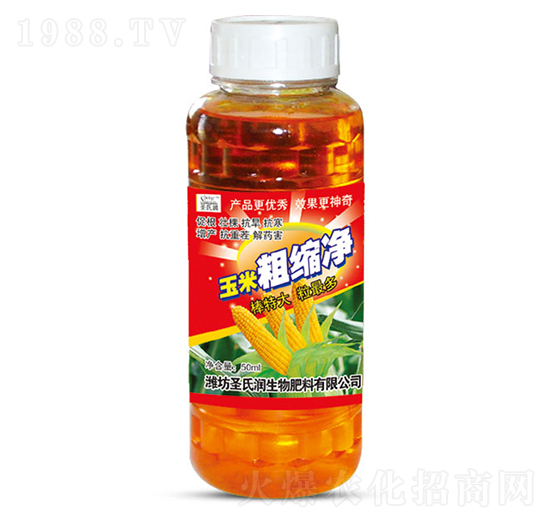 ���״ֿs��-ʥ�ϝ�(r��n)