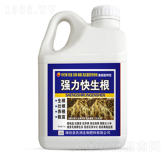 ��(qi��ng)��������-ʥ�ϝ�(r��n)