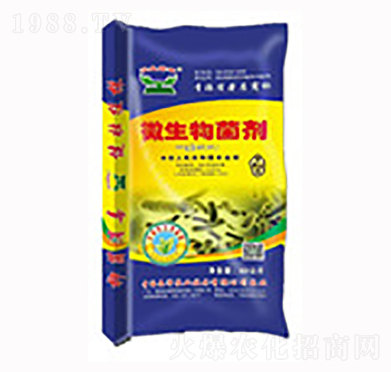 40kg΢�������-�����r�I(y��)