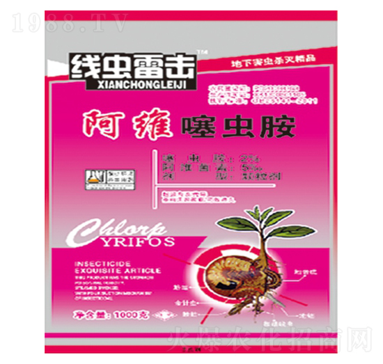 ���S���x��-���x�ד�-��������