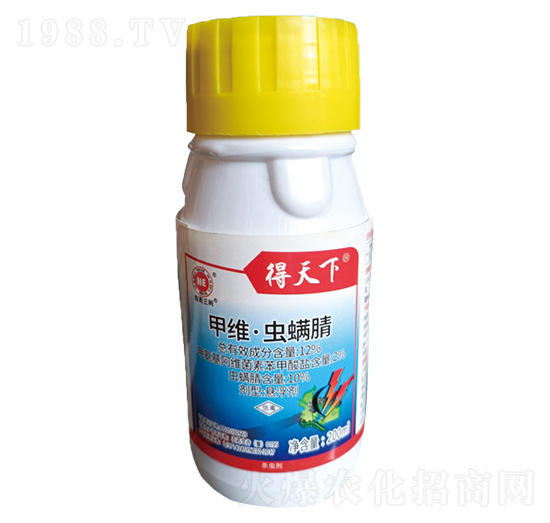 12%�׾S���x����-������-��������