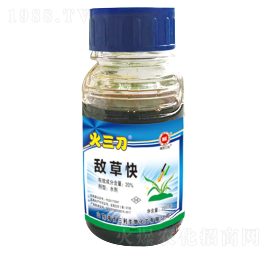 20%���ݿ�-������-��������