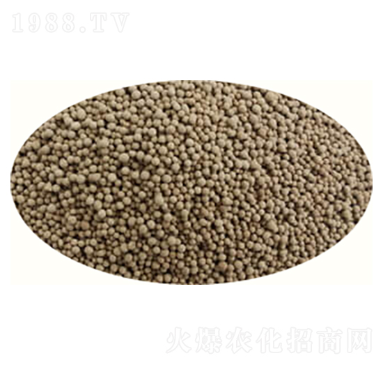 �}�Vʯ���w����-������-�߸�