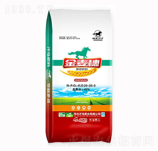 �������20-20-5-������-���R�ʘI(y��)