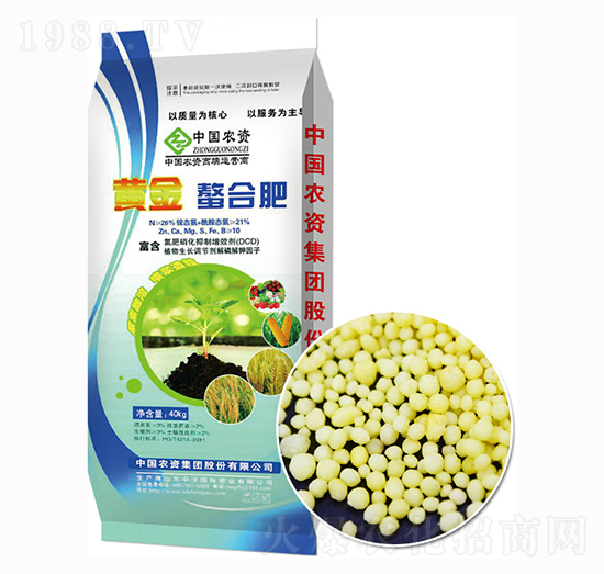 �S�����Ϸ�-����