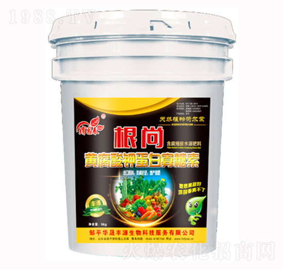 �S����⛵��׹�����-����-�A���SԴ