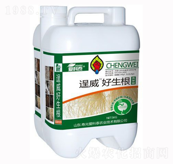 ������-����-�ۿ�̩