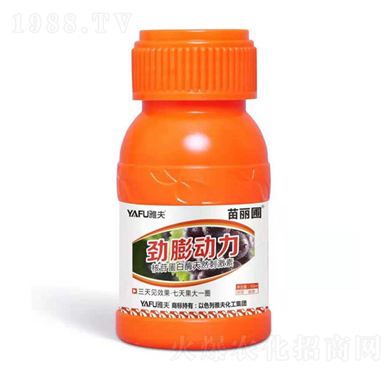 �����(d��ng)��-������-�ŷ򻯹�