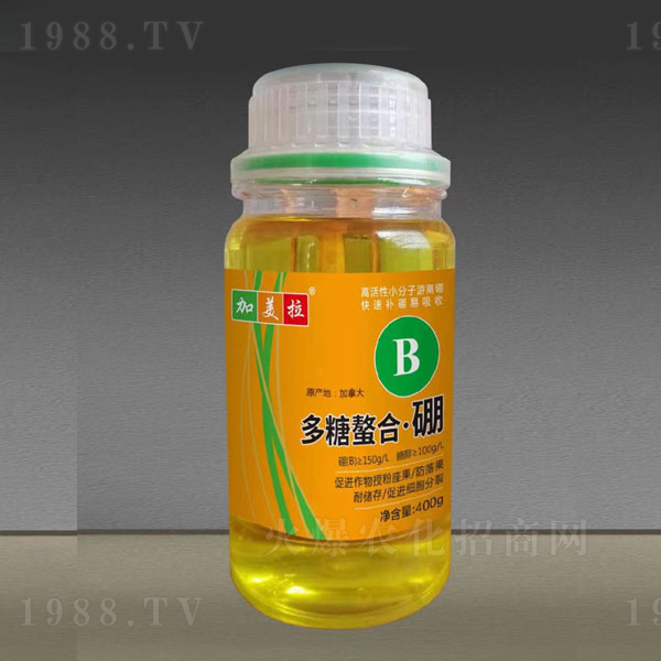 ����������-������