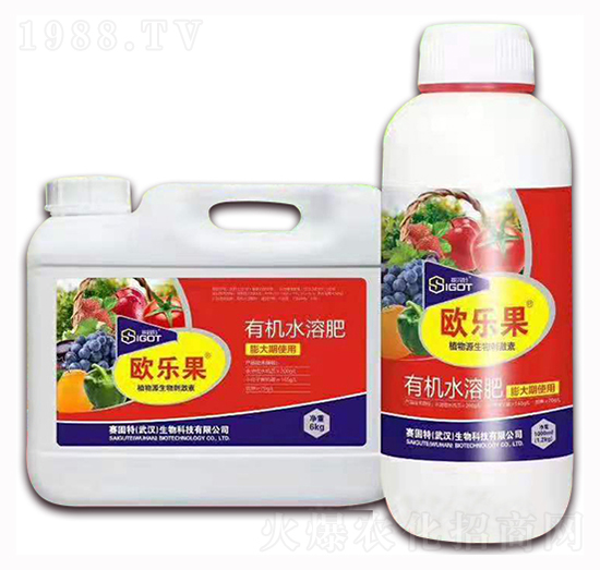 С���������ÚW����-ِ����