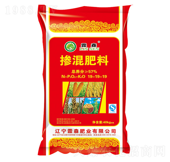 �������19-19-19-��ɭ