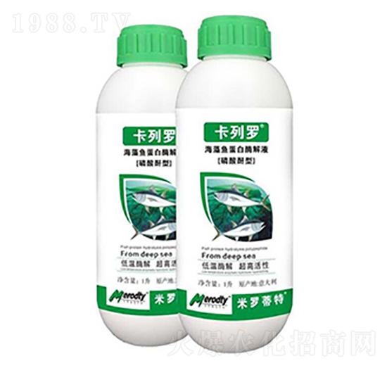 �����~����ø�⾫-�����_-��(y��u)��˼