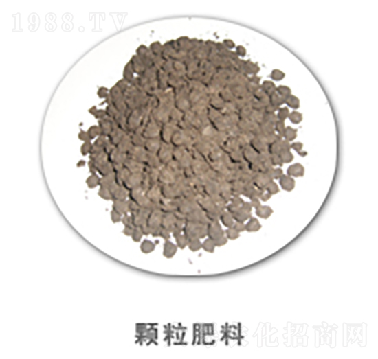 �w������-�������