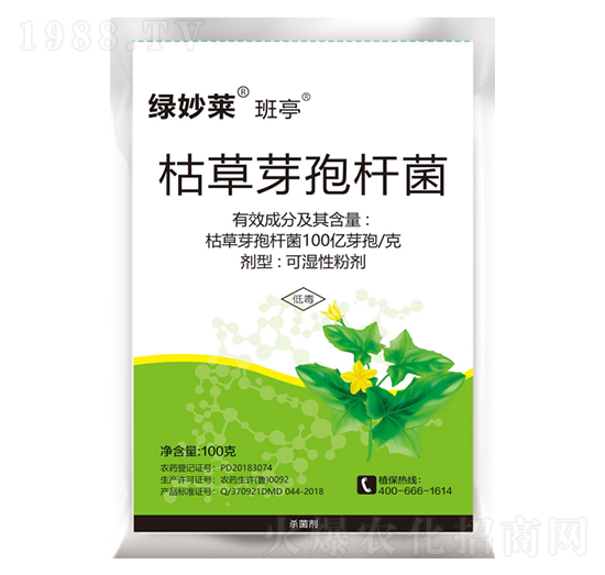 �ݲ�ѿ�ߗU��-�G���R��ͤ-������A