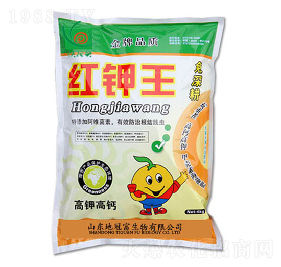 �t���-�عڸ�