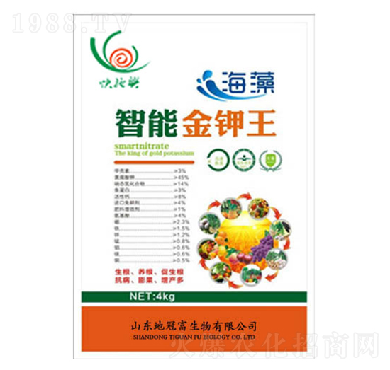 �������ܽ����-�عڸ�