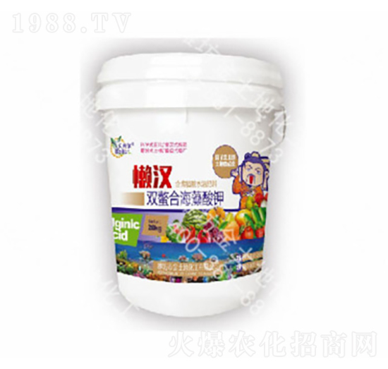 �Нh�p���Ϻ������-������