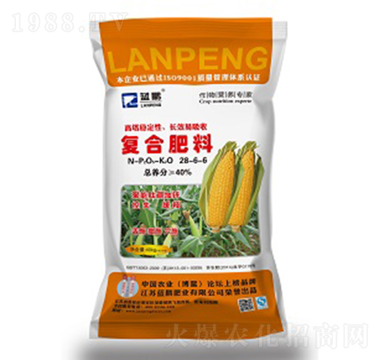 �ͺϷ���28-6-6-�{�i�ʘI(y��)