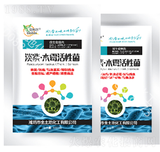 ���ϡ�ľù���Ծ�-������