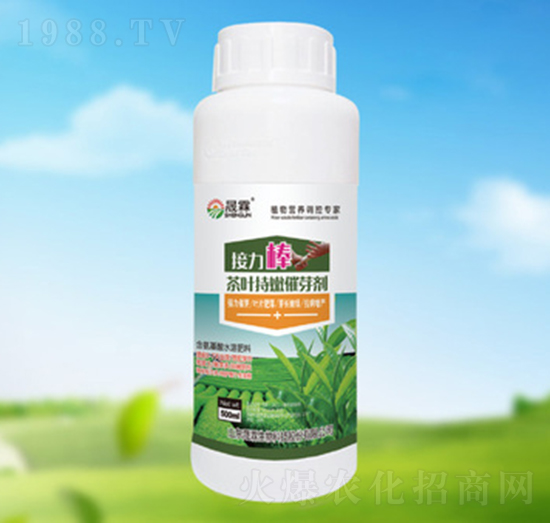 ���~���۴�ѿ��-��������