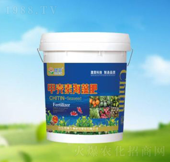 �ך��غ����-��������