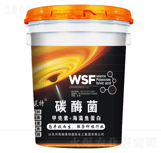 ̼ø��-��ķ�R��