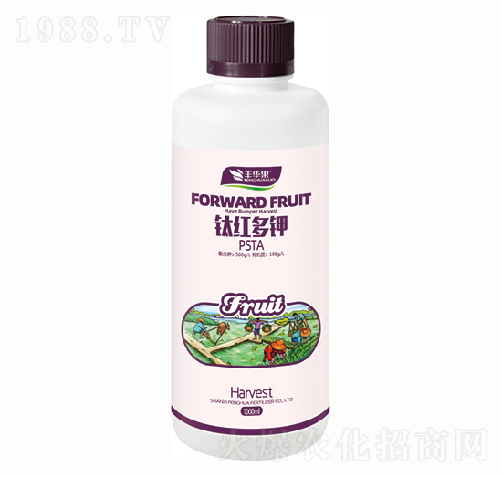 ⁼t���PSTA-�S�A��-�S�A�ʘI(y��)