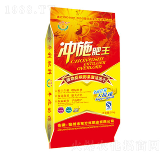 �_ʩ����-�|���t