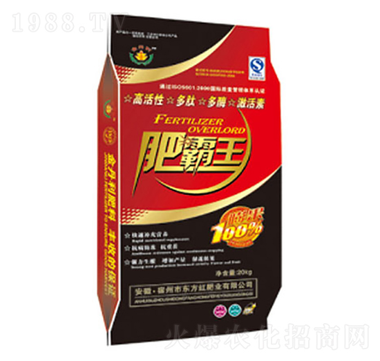 �ʰ���-�|���t