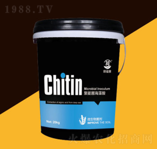 ����Ȧ��������-�P������