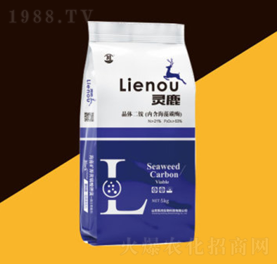 ���w��������(n��i)������̼ø��-�`¹-�P������