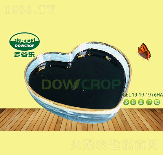 ����ֲ��Ҹ���NPK19-19-19+6HA-��Ș�