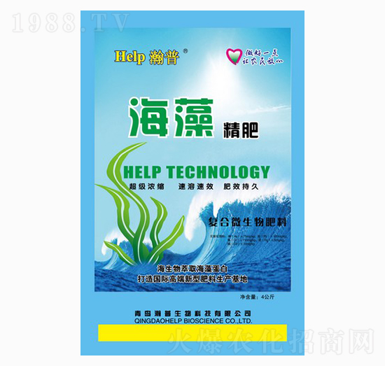 ���徫��-���-����