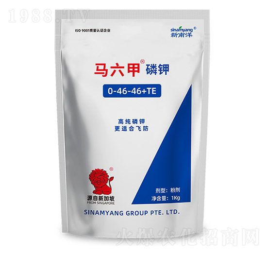 �߼���⛷�0-46-46+TE-�R����-������