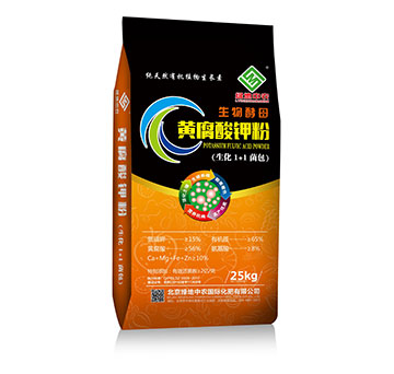 �S����⛷�-�G�����r