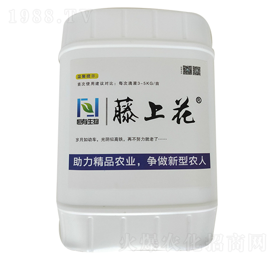 �ͺ�΢�������-���ϻ�-��������