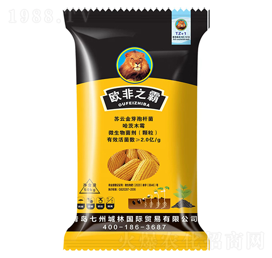 �����طN��-�W��֮��-���ݳ���