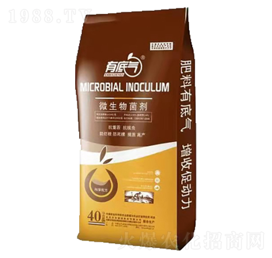 ΢�������-��(r��n)������