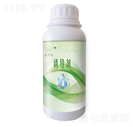 500g�T����-���A٢-�h���r�I(y��)