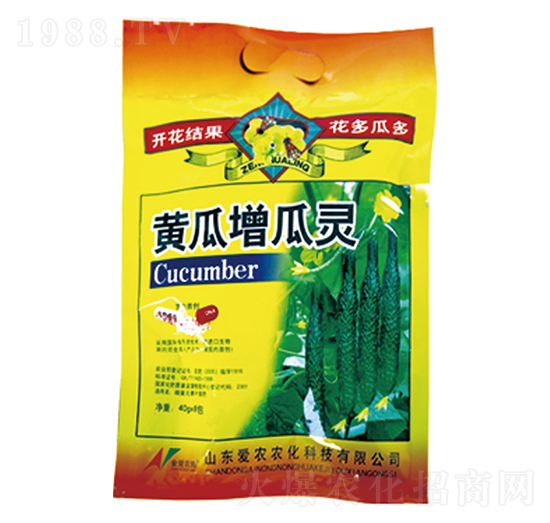 �S�������`-�и�����