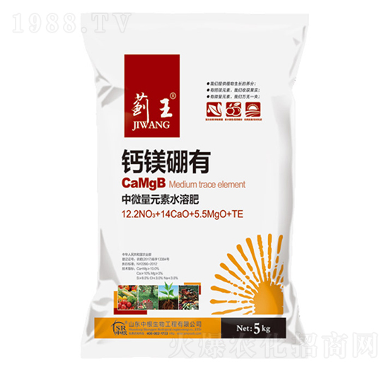 �}�V����-�E��-�и�����