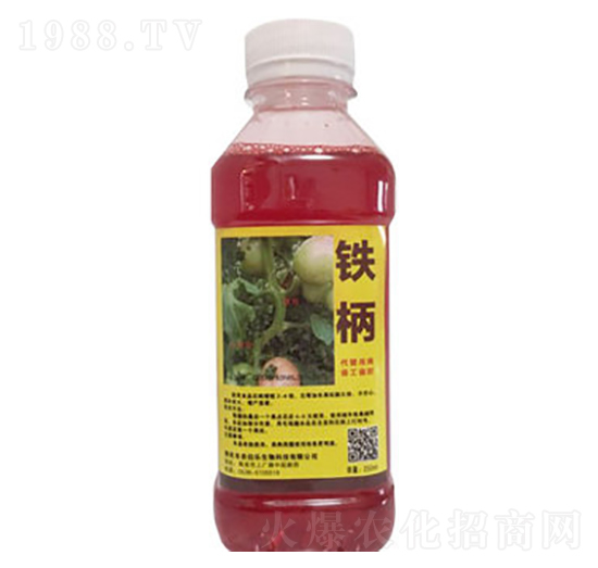 �F��-�r����